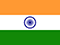 india india